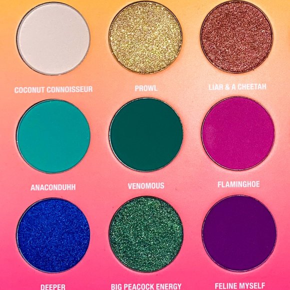 BRETMAN ROCK x WET N WILD Jungle Rock Palette - Picture 6 of 13